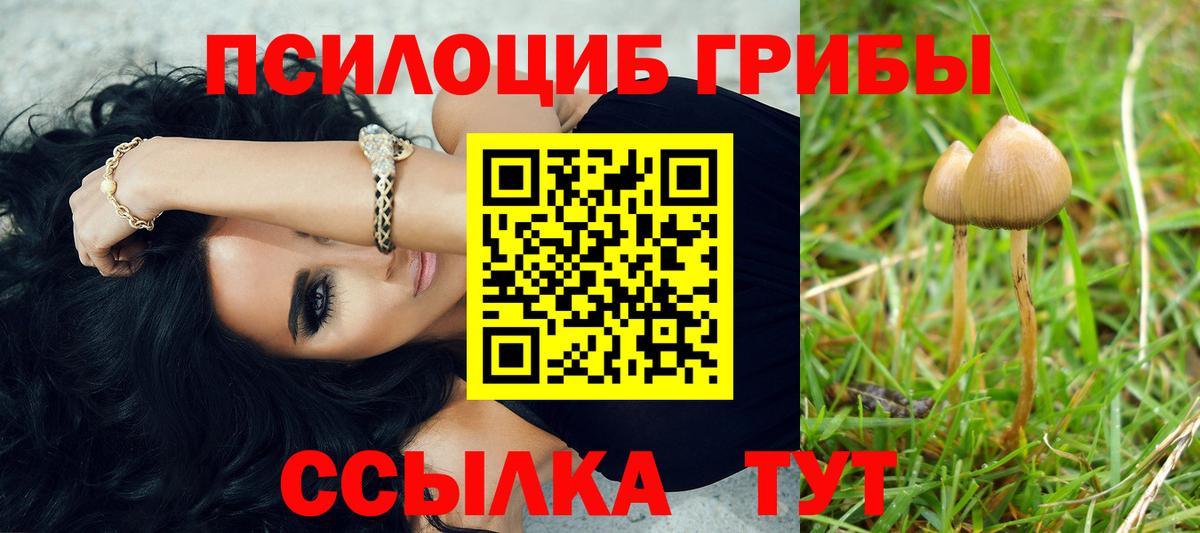 Псилоцибиновые грибы мухоморы  Вход с VPN  Нижний Тагил 
